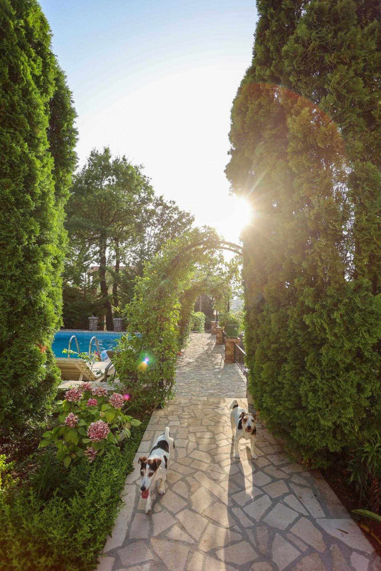 Villa Besha تْشيرسيك نوفي المظهر الخارجي الصورة